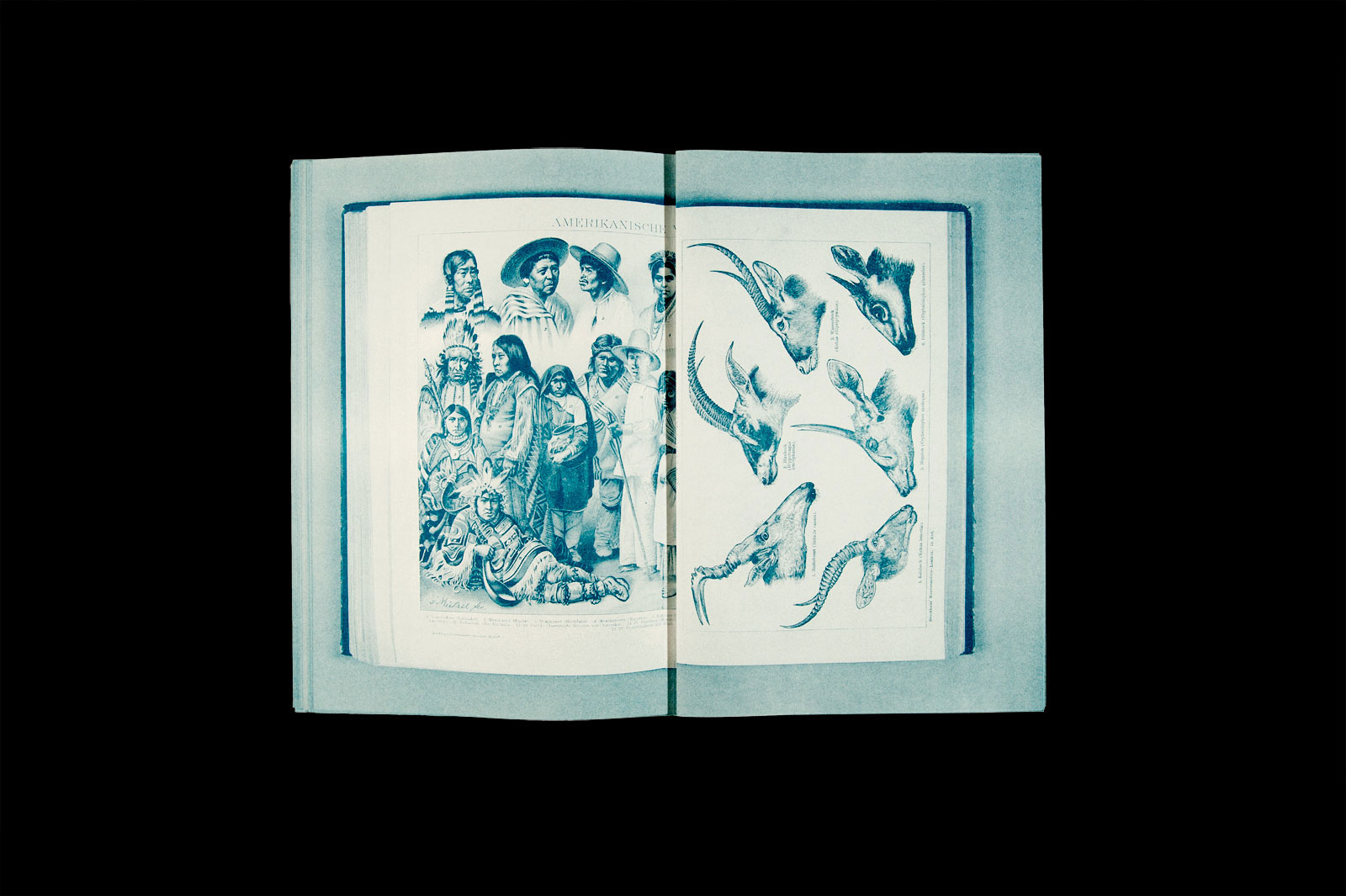 'A', a publication by Esther Rieser