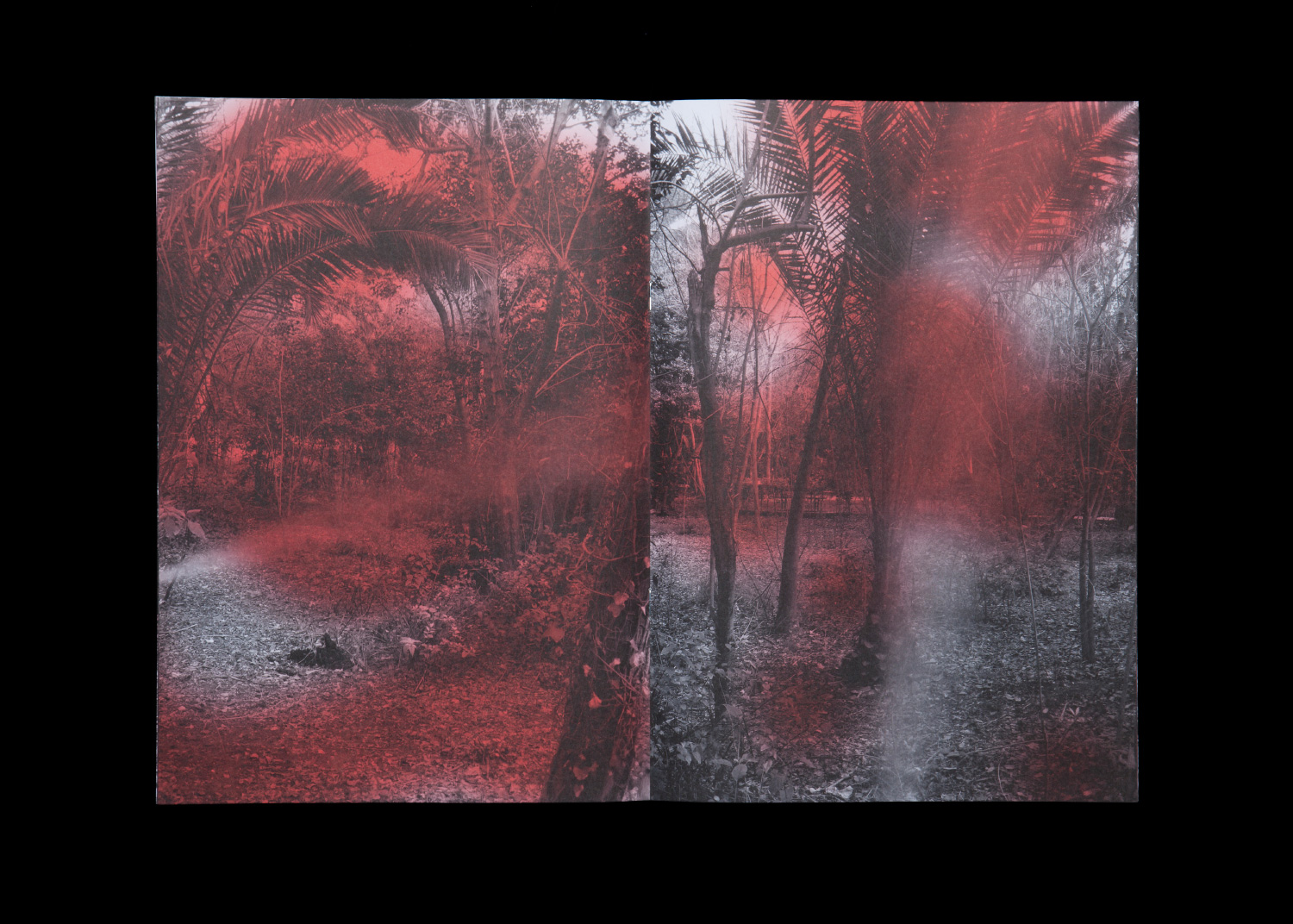 A selection of publications