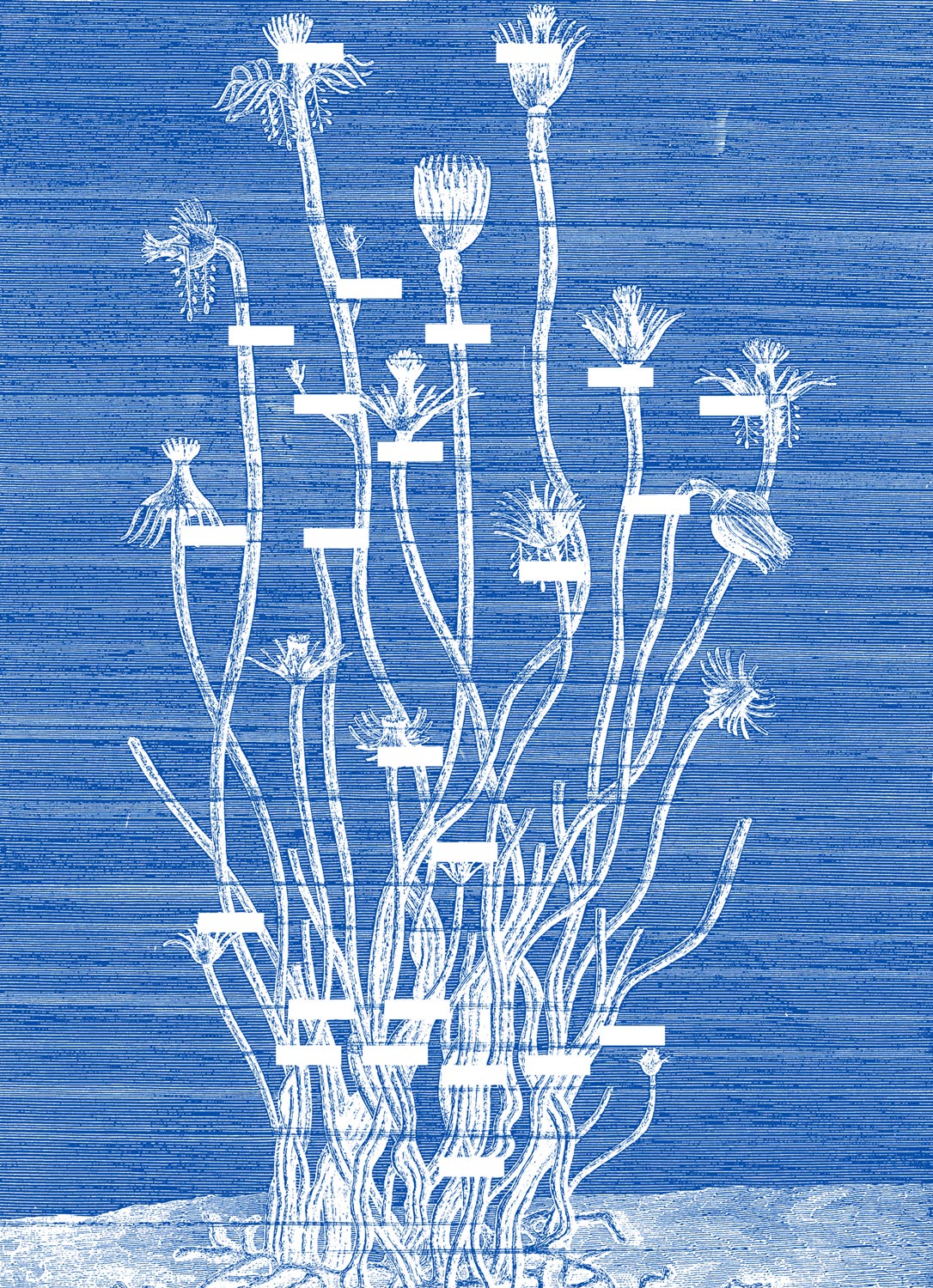 A selection of projects for Yto Barrada and the ‘Cinémathèque de Tanger’