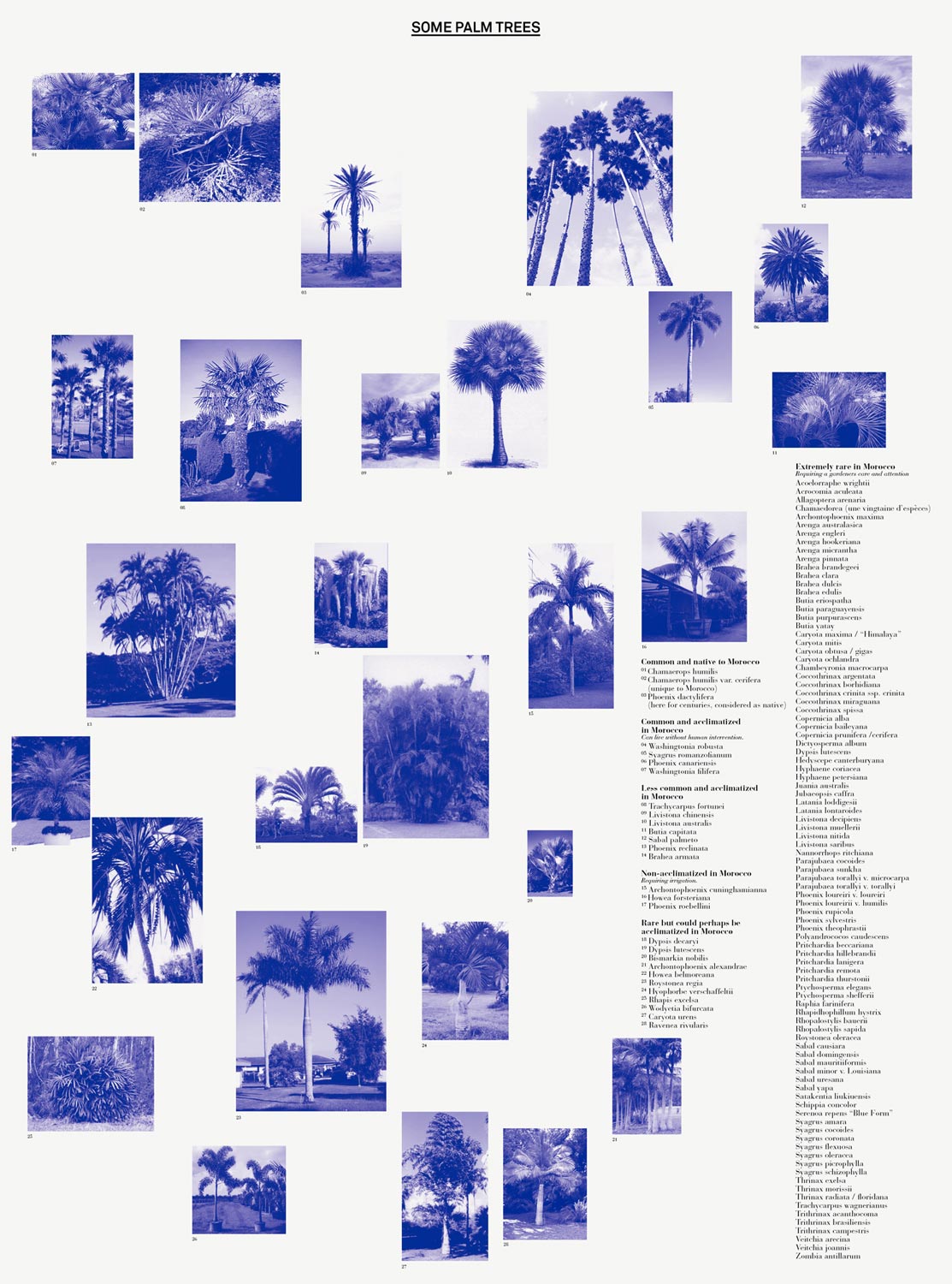 A selection of projects for Yto Barrada and the ‘Cinémathèque de Tanger’