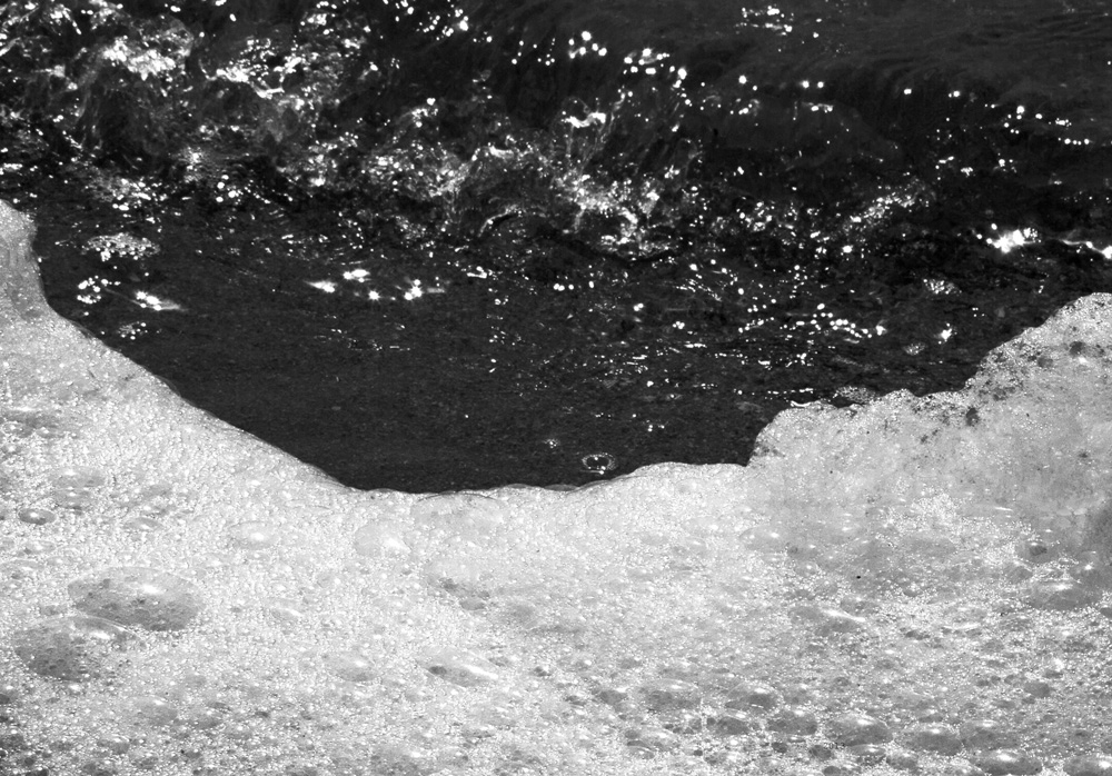 ‘Les cendres au fond du jardin’, photo book