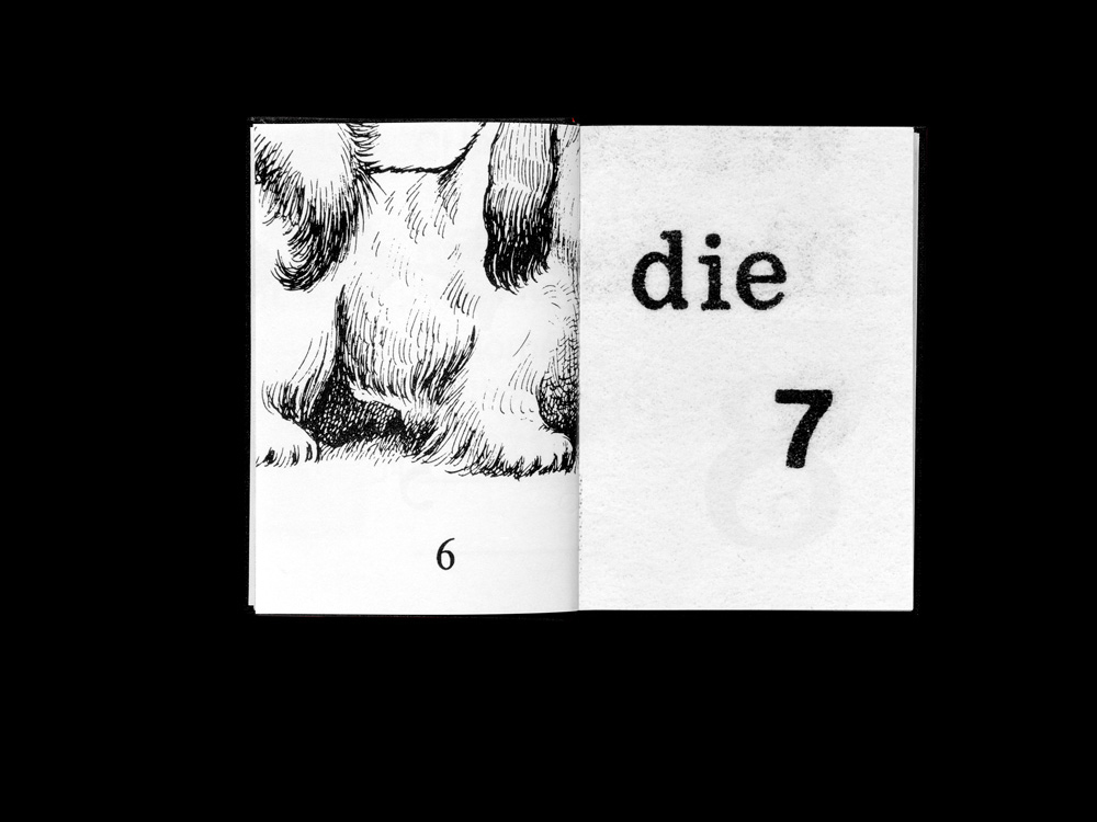 Eine Auswahl von Projekten