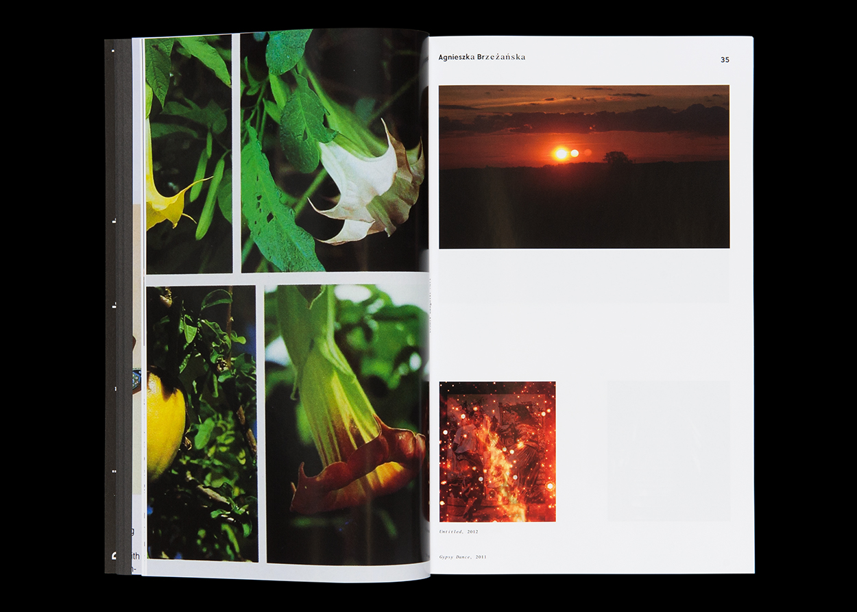 Eine Auswahl von Publikationen