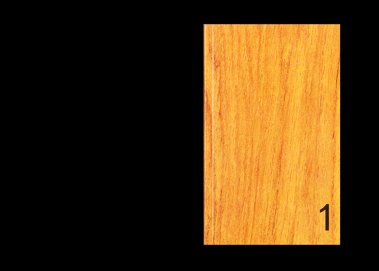 Eine Auswahl von Publikationen