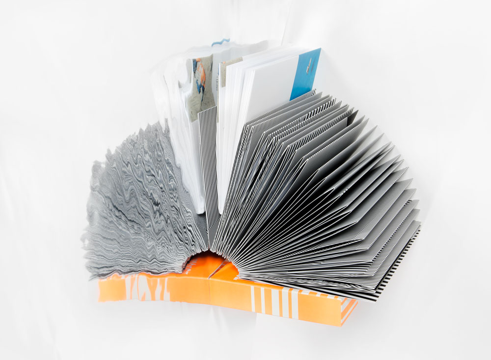 Eine Auswahl von Publikationen veröffentlicht in seinem Verlag Kodoji Press