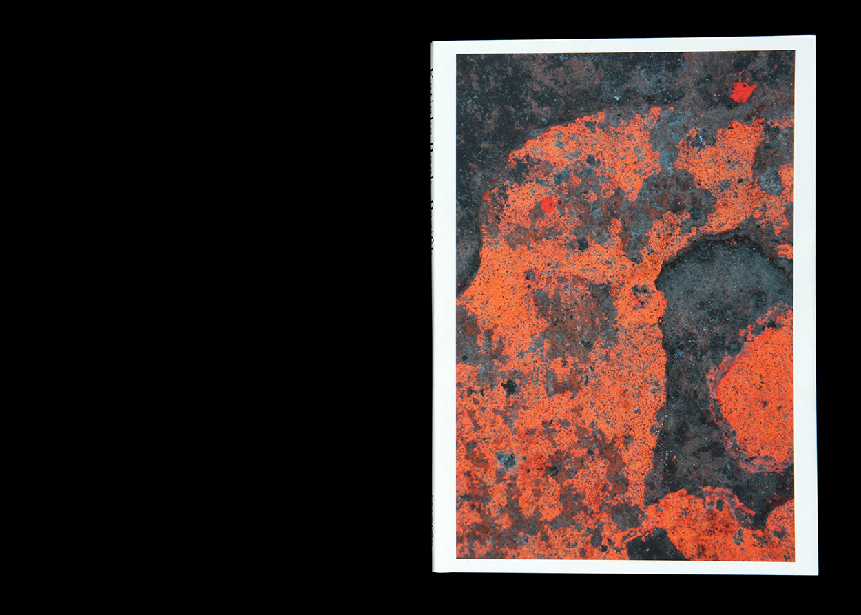 Eine Auswahl von Publikationen