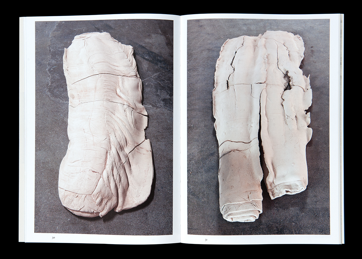 Eine Auswahl von Publikationen