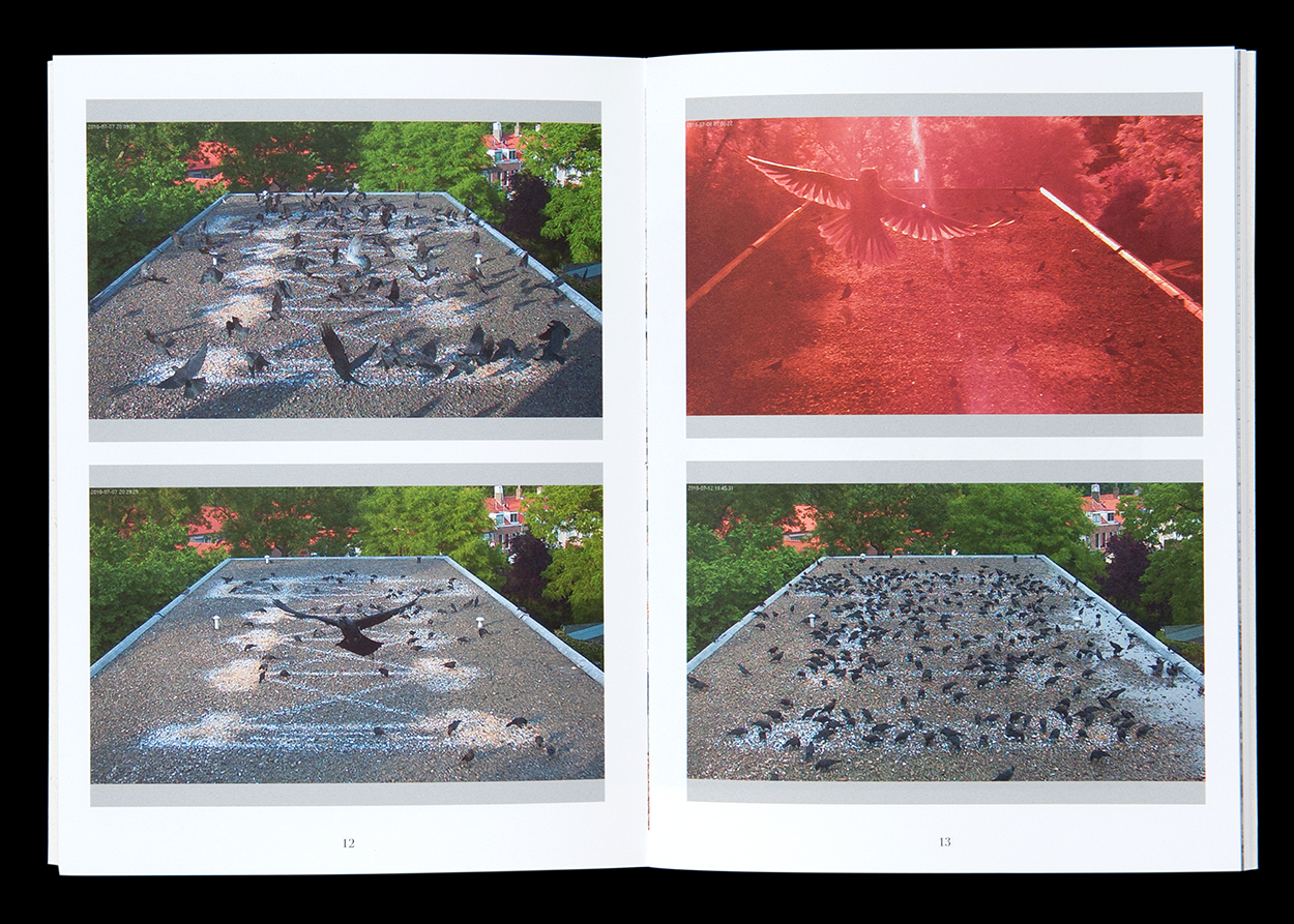 Eine Auswahl von Publikationen