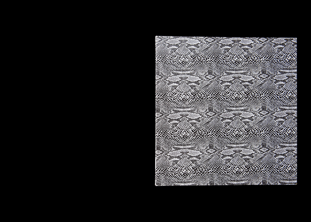 Fotoserie für verschiedene Zeitschriften