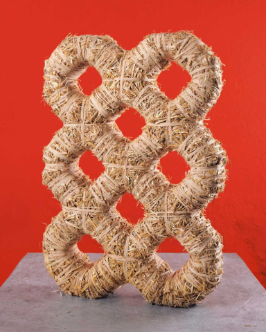 « Apian », Fotoserie