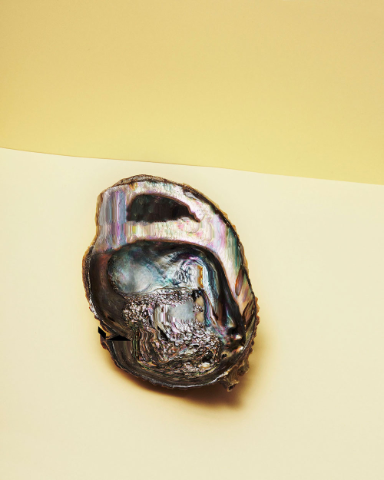 « Five Minutes to the Sun »; « Mnemosia », Fotoserie