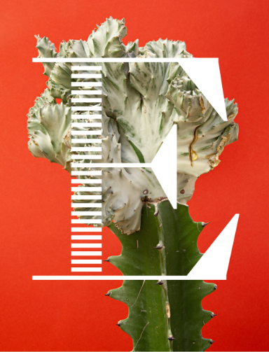 «Pícara» Typeface, travail de diplôme