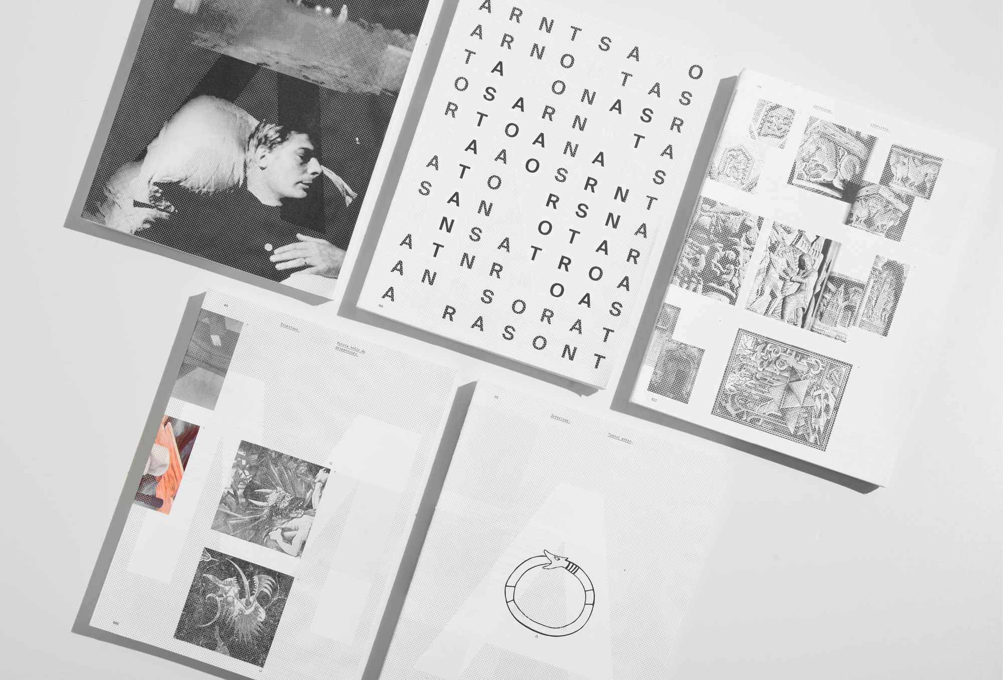 Anima, Diplomarbeit (BA), 2016