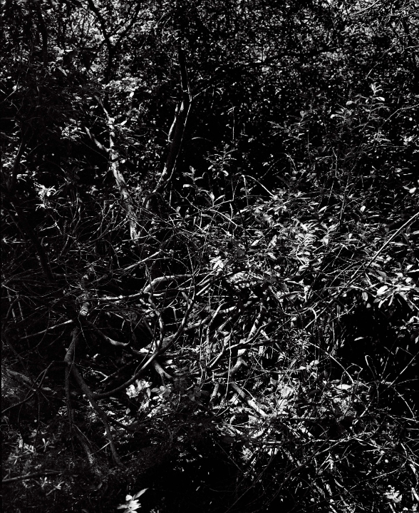 Hello, I’m not from here, 2012-2016