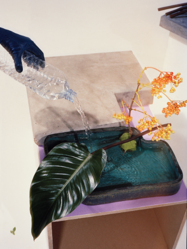 Reality and fictions, Various editorial works, 2018