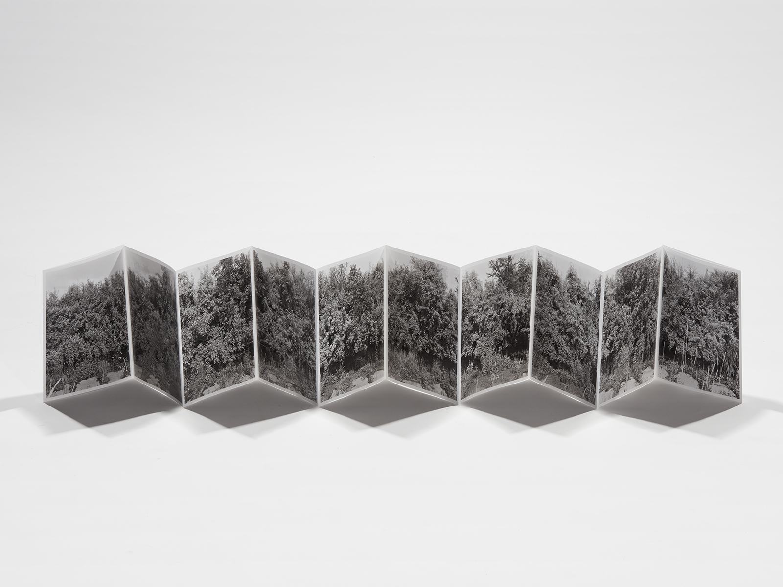 Eine sechsteilige fotografische Arbeit und eine Publikation, 2018-2019