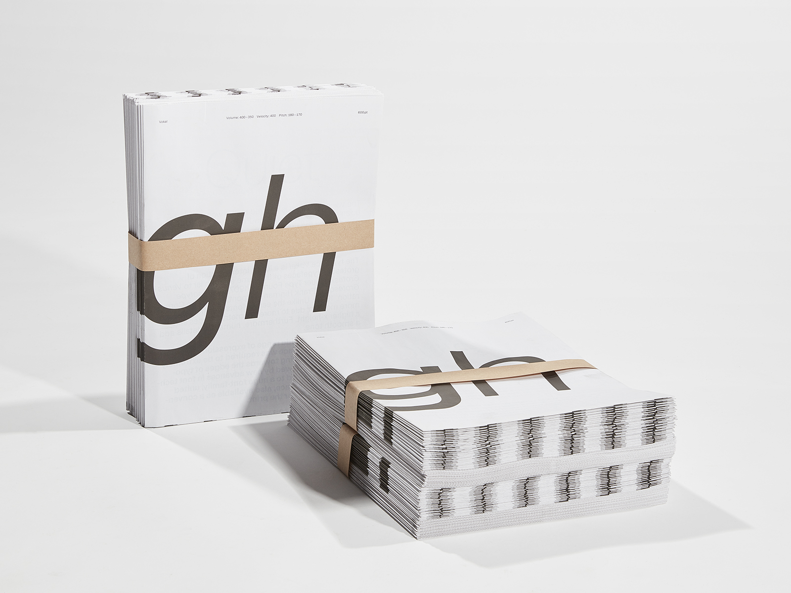 Voicewriter, 2018 (Abschlussarbeit, BA)