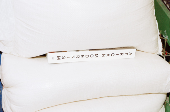 African Modernism. The Architecture of Independence