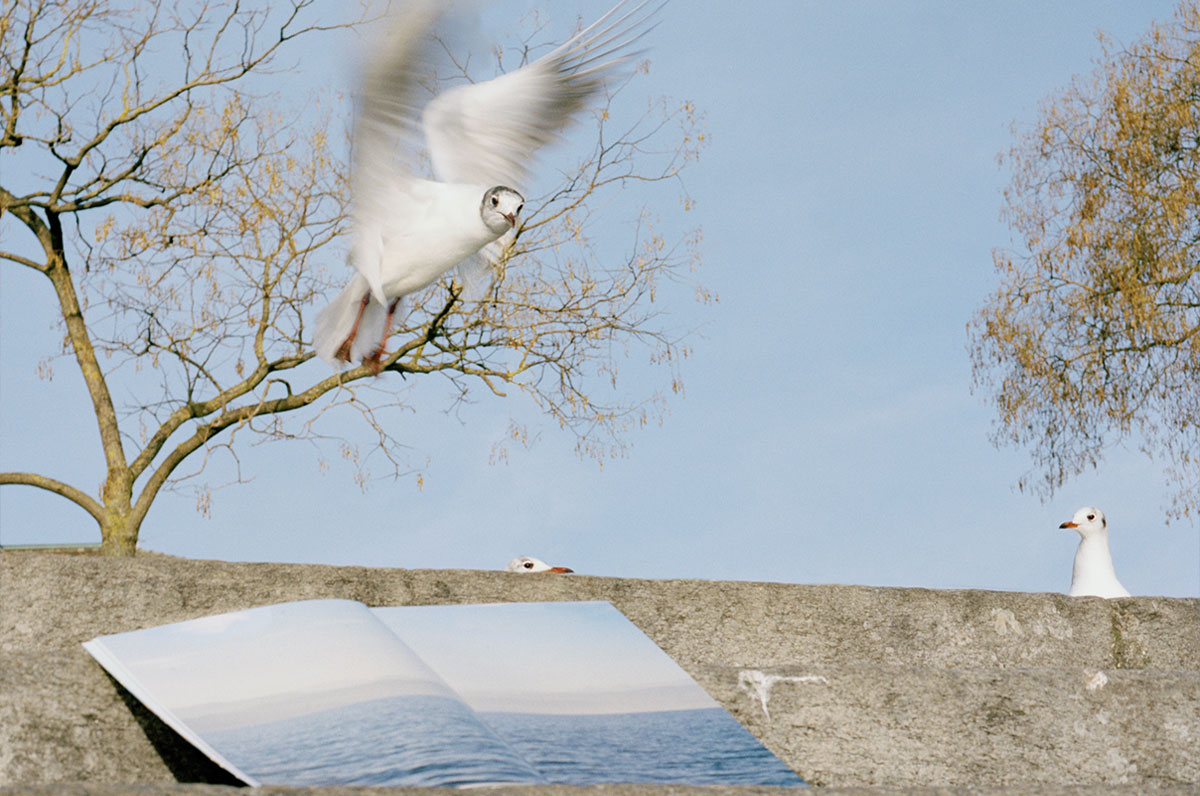 Kaspar Müller. Schätze der Erinnerung, 2014–2015. The Weather in Zürich, 2013–2014