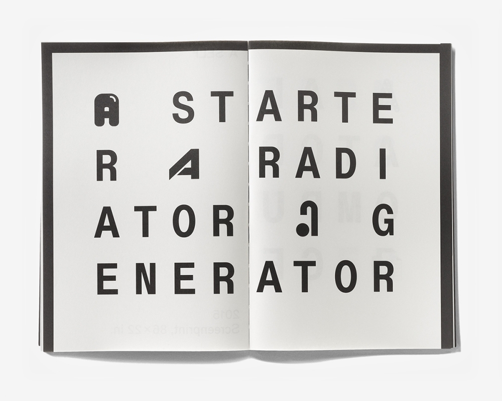 Shannon Ebner. A Public Character