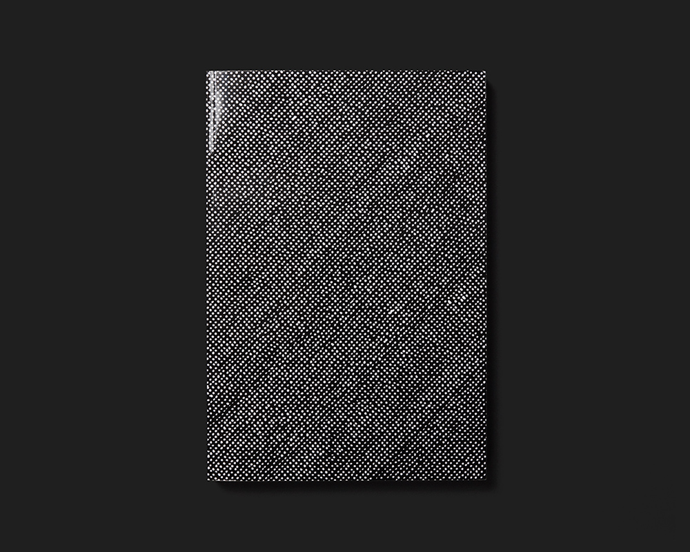 Kasper König. Skulptur Projekte Münster 2017