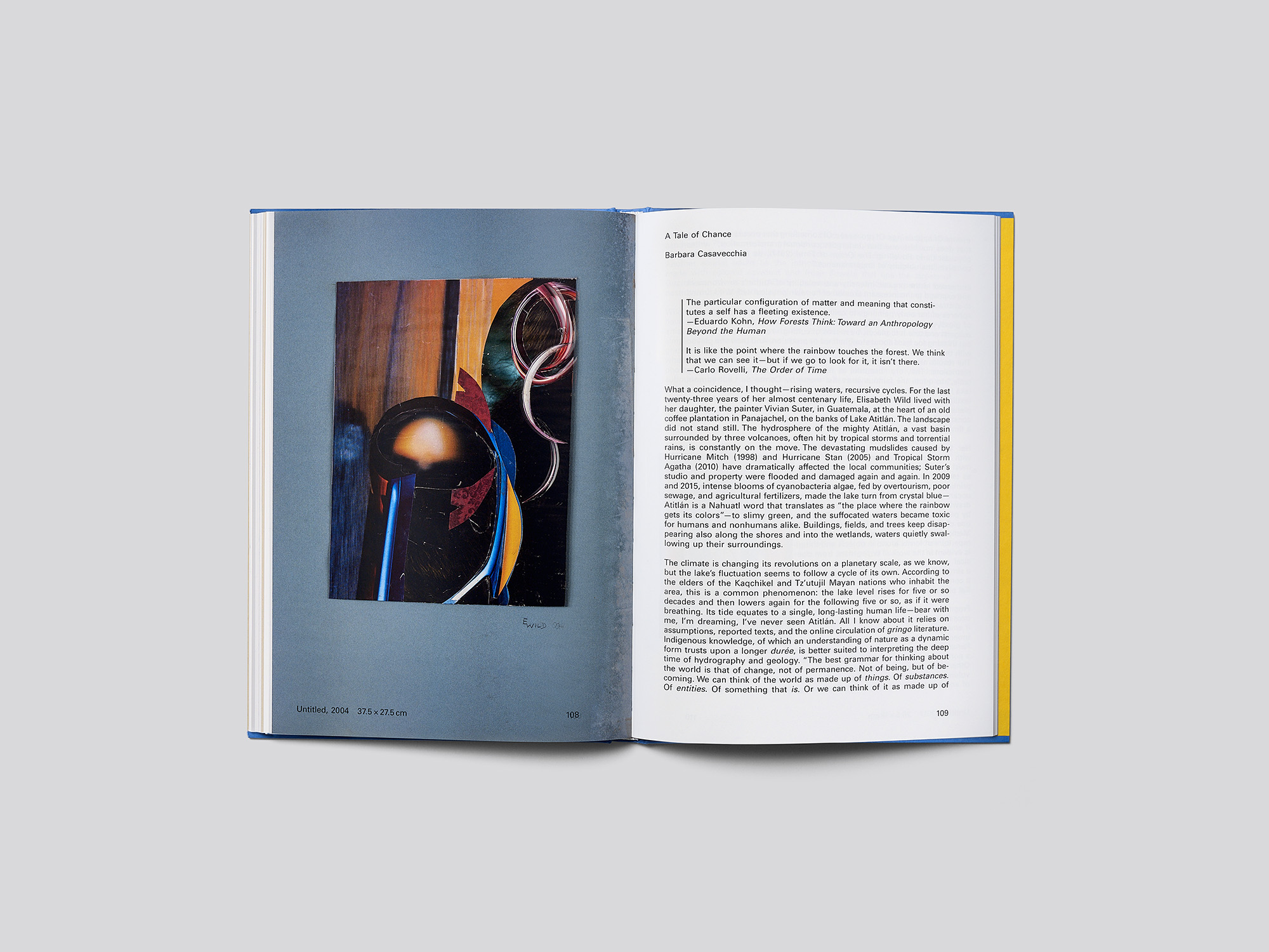 Elisabeth Wild. Fantasías