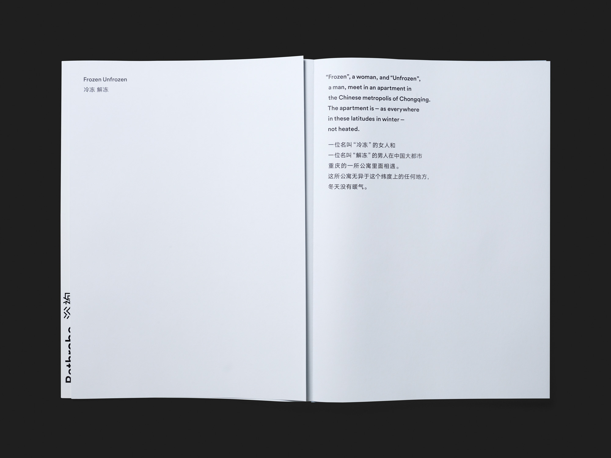 Frozen Unfrozen. A Poster Novel