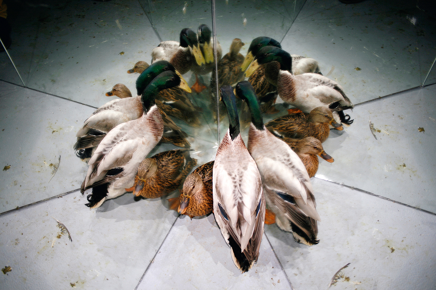 coulisse du clip 'Souvenir de Chine' (pour le groupe Larytta)