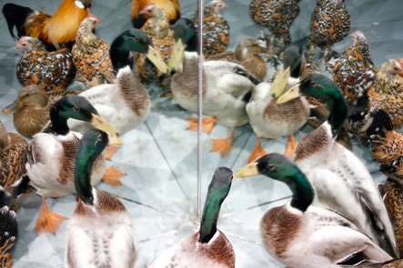 coulisse du clip 'Souvenir de Chine' (pour le groupe Larytta)