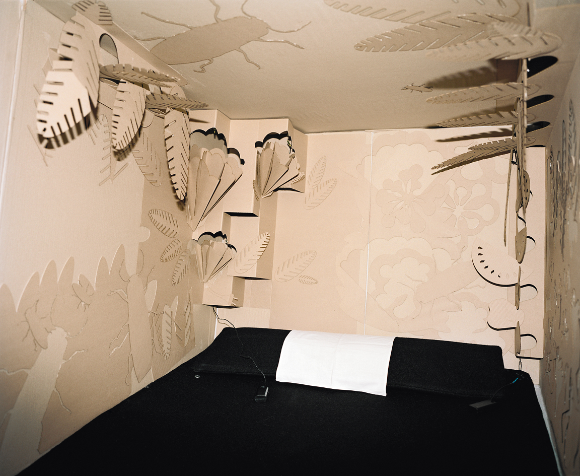 'Five Stars Cardboard' (2007), vue de l'intérieur 'Bosco in Hawaii'
