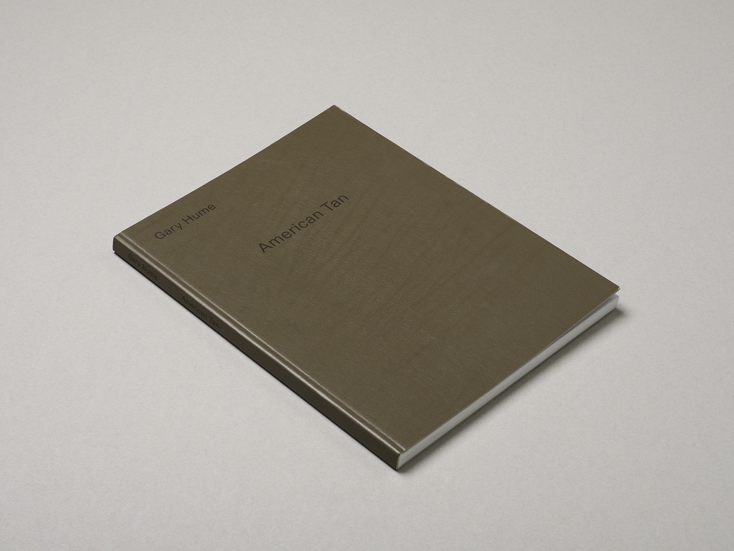 'Gary Hume. American Tan'