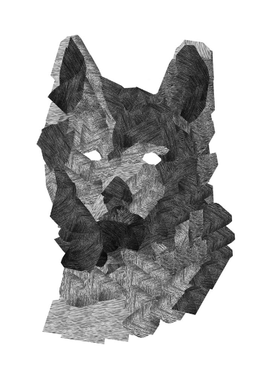 Une sélection de projets