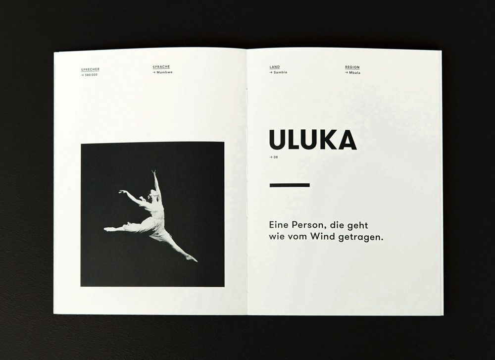 'Sprachlos', livre, travail de diplôme