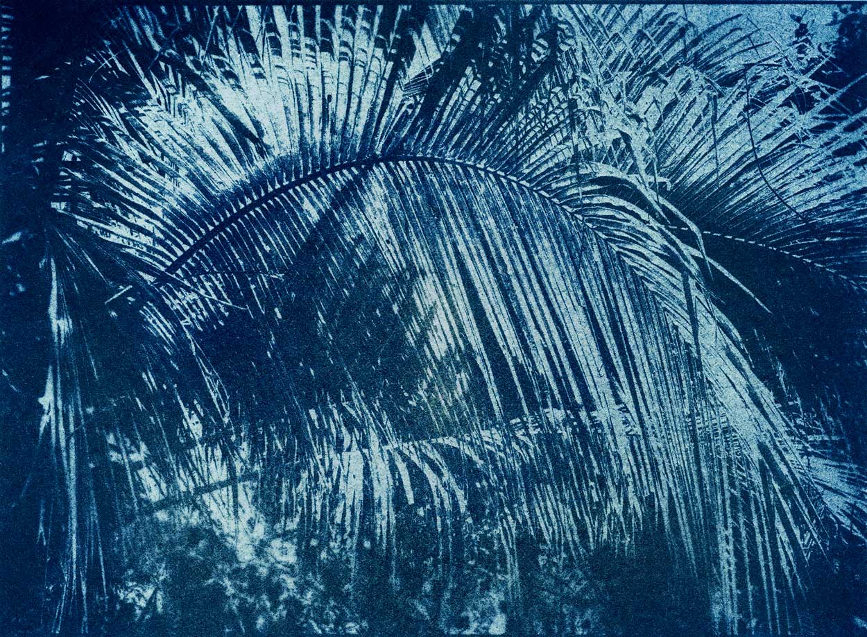 « Five Minutes to the Sun »; « Mnemosia », série de photographies