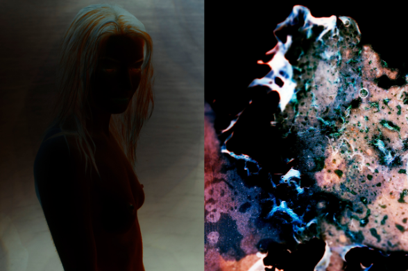 «Light and Cosmic Shell», projet photographique