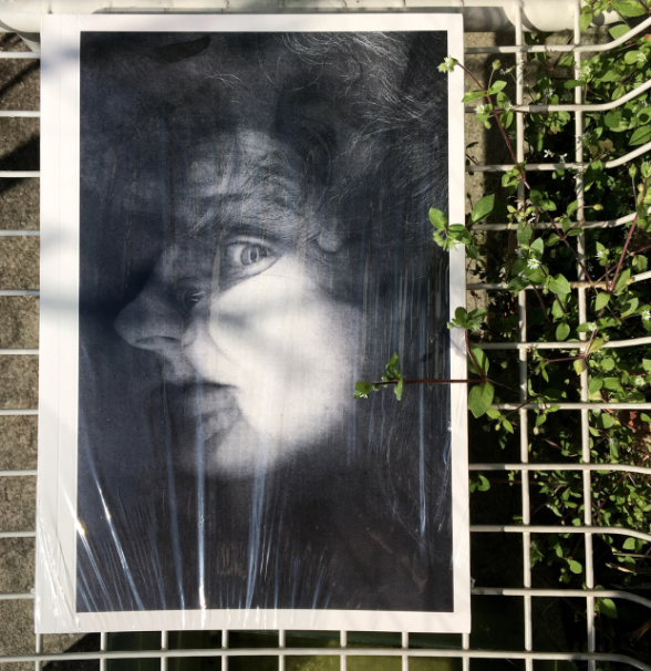 Une série de publications