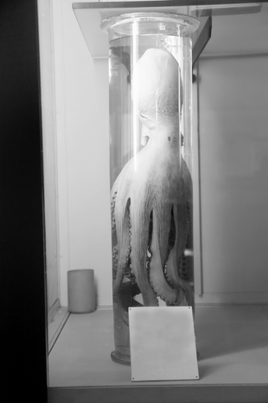 Kleine Fotoenzyklopädie, eine Publikation