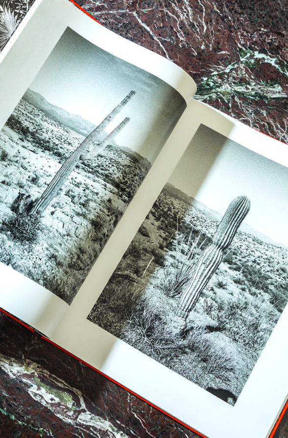 Hello, I’m not from here, 2012-2016