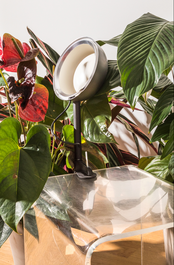 iiode (système modulaire de luminaires LED), 2014-2017