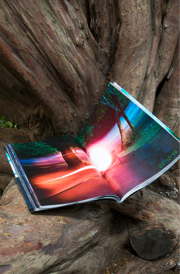 Event Horizon, travail de diplôme (BA), 2016