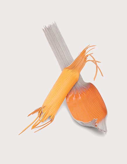 Cécile Feilchenfeldt