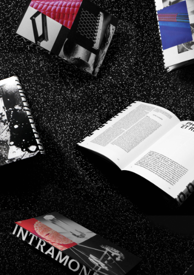 Intramonde, travail de diplôme (BA), 2017