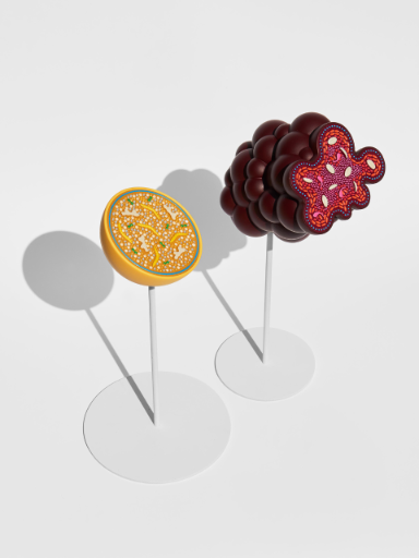 The Sausage of the Future, travail de diplôme (MA), 2014-2017