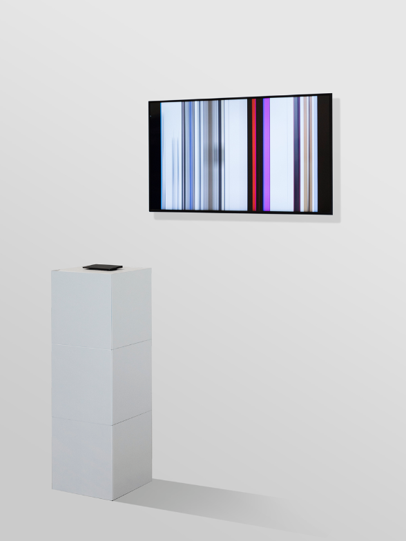 No Plans: Daniel Baer, Daniel Pianetti