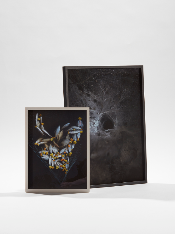 Arguiñe Escandon, Yann Gross