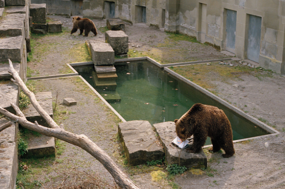 Mit 80 Karten durch die Schweiz. Eine Zeitreise