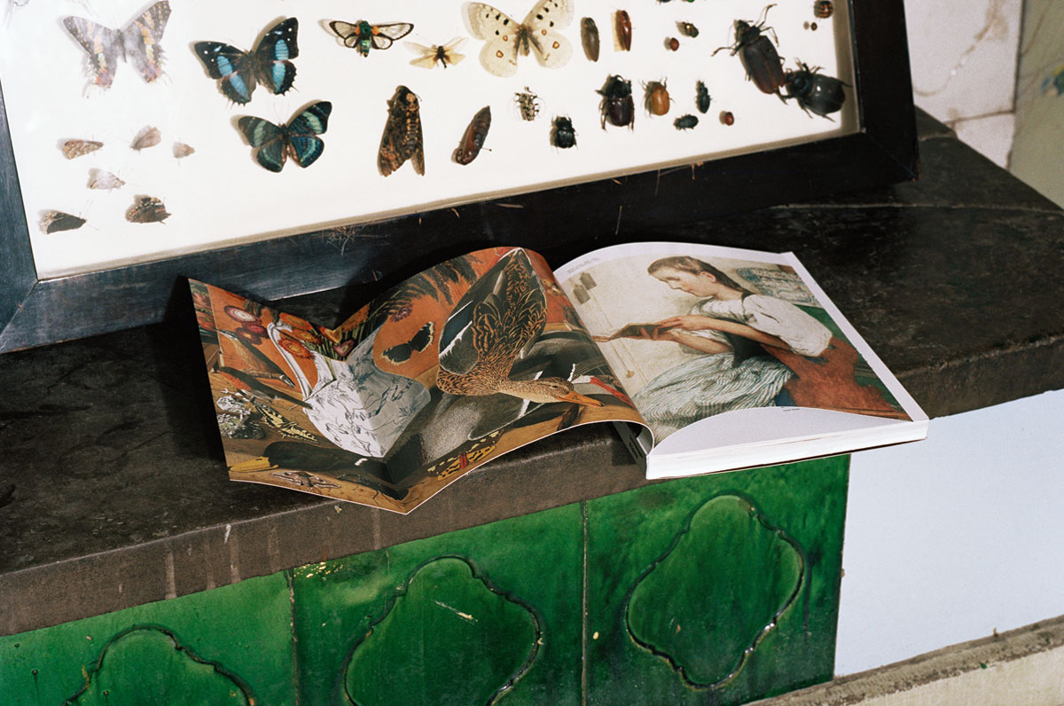 Adolf Dietrich in seiner Zeit und darüber hinaus