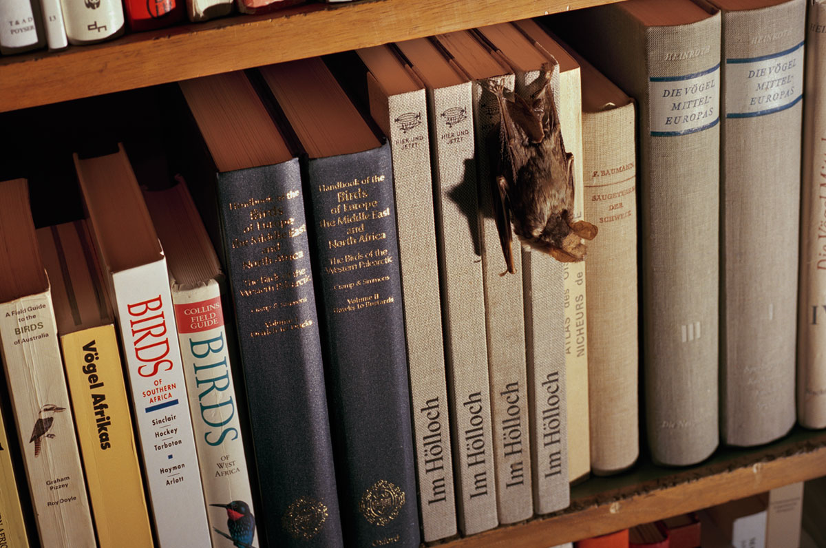 Im Hölloch. Erforschung einer verborgenen Welt