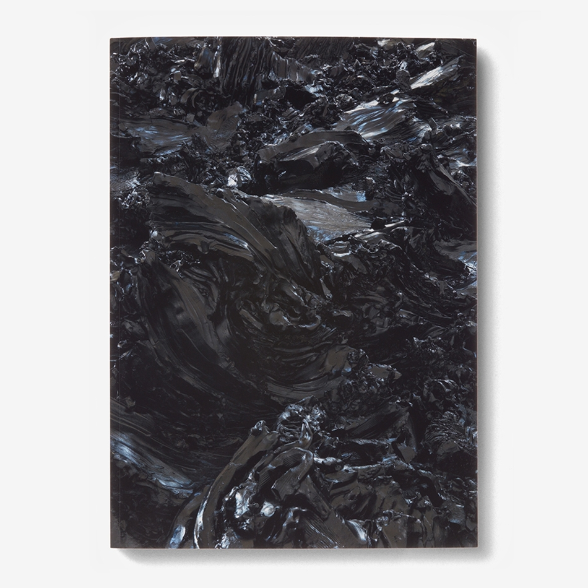 Julia Steiner. Here and Where