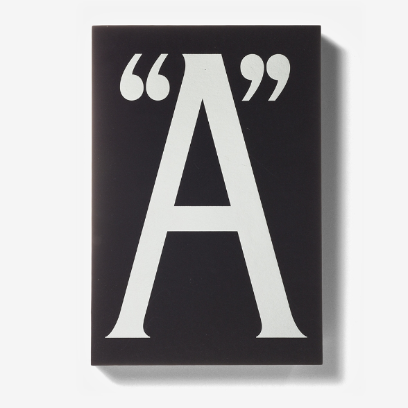 Shannon Ebner. A Public Character